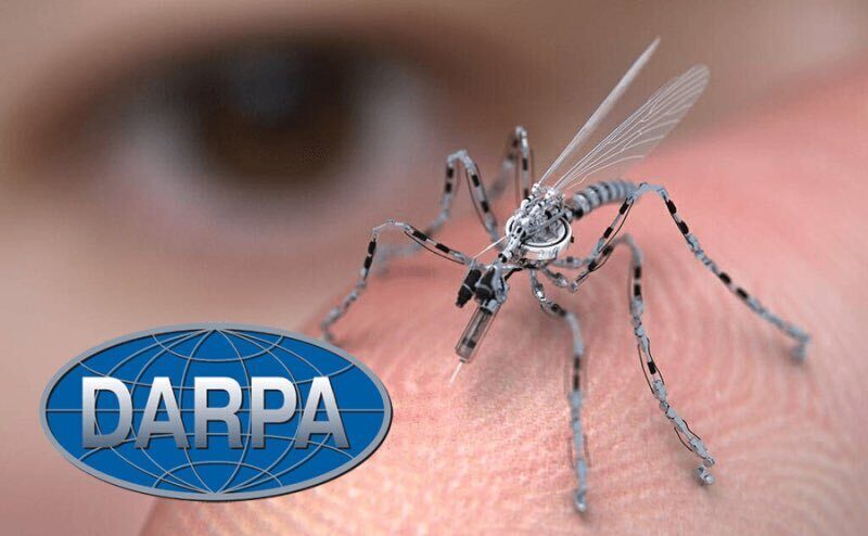 DARPA комар как оружие