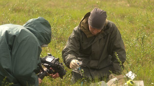 Экспедиция WWF в Лешуконскую тайгу